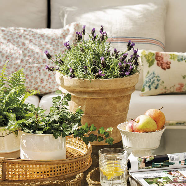 Terraza con zona de estar con mesa de hierro y plantas aromáticas